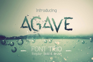 Agave Font Trio: A Versatile Display Typeface
