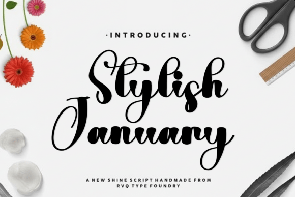 Stylish January Font: Adding Warmth to Brand Identity